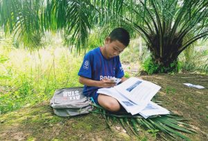 Siswa Belajar Di Bawah Pohon Sawit Demi Selesaikan Tugas Sekolah