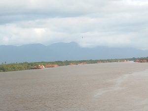 Kadis Perkim, LH KKU Himbau Agar Ponton Tidak Bersandar di Pohon Mangrove