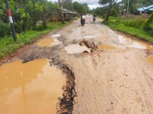 Foto:Salah Satu Kondisi Jalan Provinsi Berlubang yang Terletak di Desa Mulia Kecamatan Sukadana