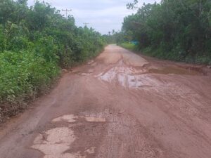 Dinas PUPR Provinsi Kalbar Angkat Bicara Terkait Penanganan Jalan Siduk-Teluk Batang