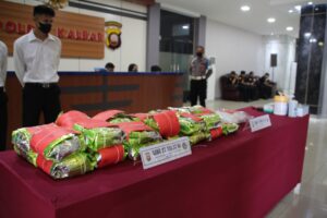 29,381 Kg Narkotika Dimusnahkan di Halaman Mapolda Kalbar