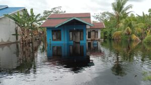 Puluhan Rumah Warga di Desa Mega Timur Terendam Banjir