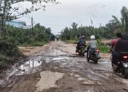 Telan Anggaran Ratusan Miliar Rupiah, Jalan dan Jembatan  Siduk-Teluk Batang Masih Banyak yang Rusak