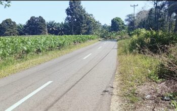 Screenshot_2024-03-22-09-57-54-54_99c04817c0de5652397fc8b56c3b3817 Screenshot_2024-03-22-09-57-54-54_99c04817c0de5652397fc8b56c3b3817