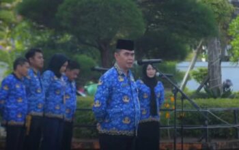 Screenshot_2025-02-19-17-43-26-16_40deb401b9ffe8e1df2f1cc5ba480b12