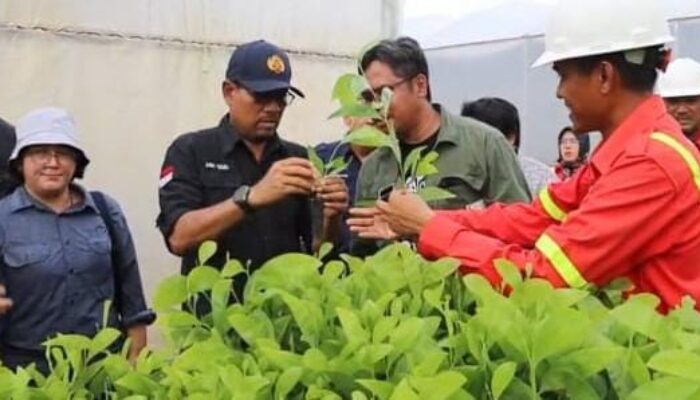 Kadis LHK Kalbar Berdecak Kagum saat Kunjungi Nursery PT. Mayawana Persada