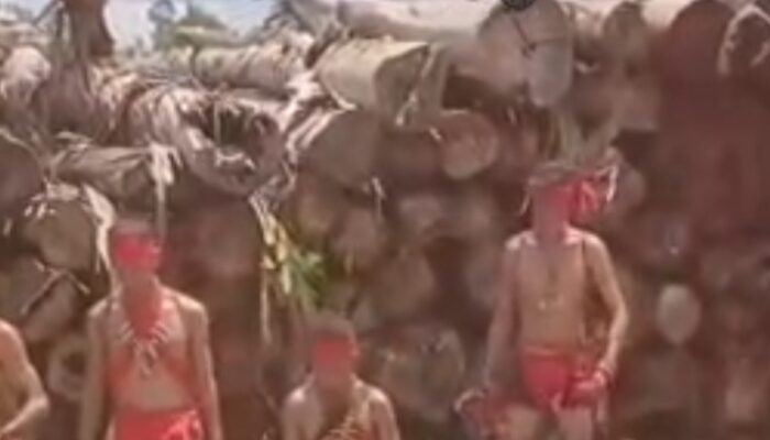 PT. Mayawana Persada Berkilah Laporkan Kepala Adat. Kasat Reskrim Ketapang Siap Terima Laporan Masyarakat, Kalau Ada yang tidak Sesuai dengan Perizinan