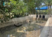 Pelaksana Proyek Peningkatan Daerah Irigasi Rawa Tebas Bantah isu Miring