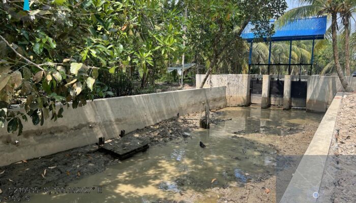 Pelaksana Proyek Peningkatan Daerah Irigasi Rawa Tebas Bantah isu Miring