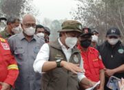 5 Izin Perusahaan di Kalbar Dibekukan Dampak dari Karhutla