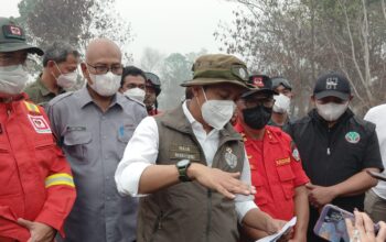 5 Izin Perusahaan di Kalbar Dibekukan Dampak dari Karhutla