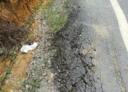 Kualitas Aspal Diduga Buruk,  Pekerjaan Nasional Landak -Bengkayang Diduga Bermasalah